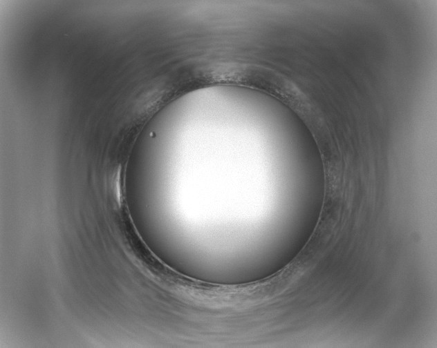 X0000061150028200511181246