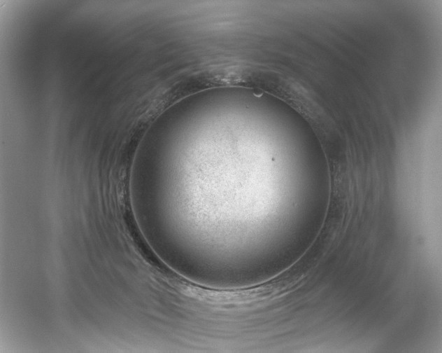 X0000061150030200511181246