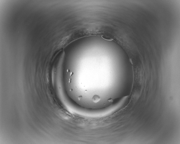 X0000061150033200511181246