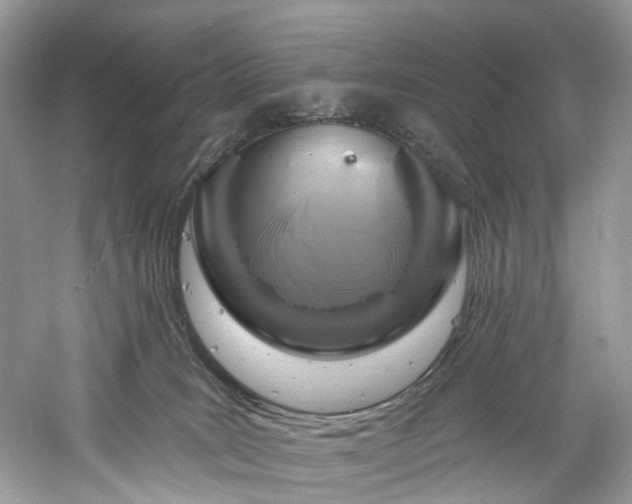 X0000061150035200511181246