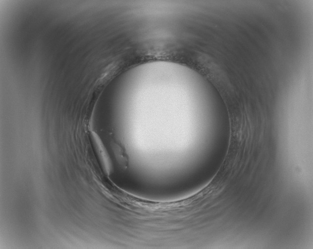 X0000061150036200511181246