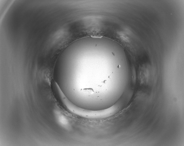 X0000061150037200511181246