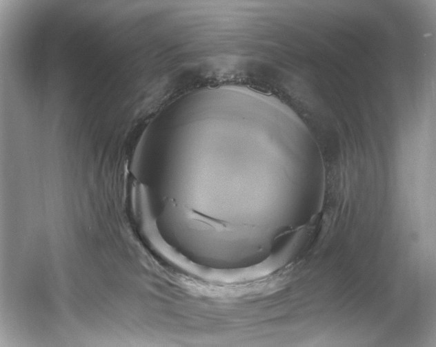 X0000061150039200511181246