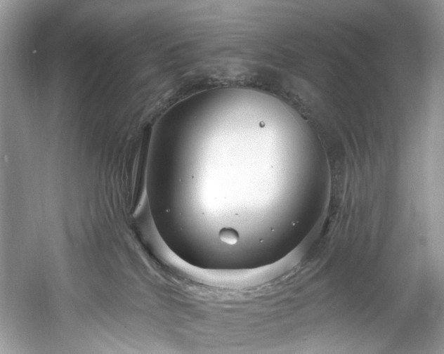 X0000061150040200511181246