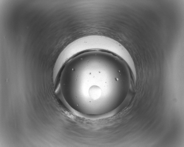 X0000061150041200511181246