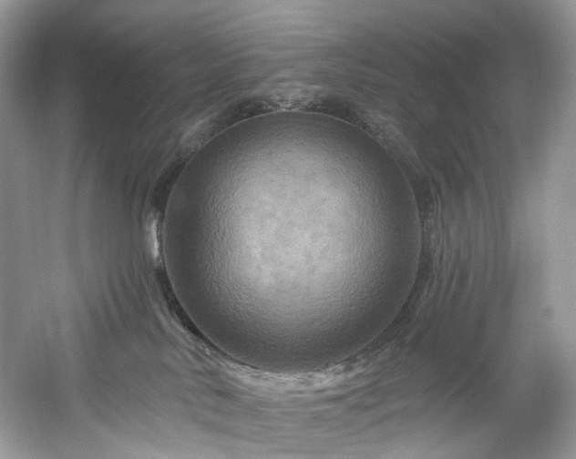 X0000061150042200511181246