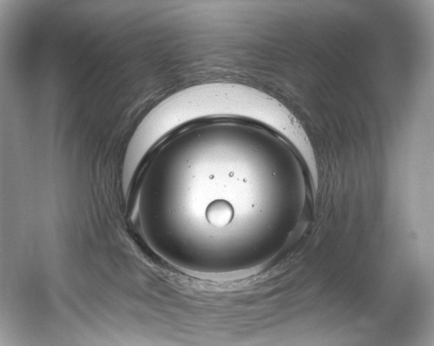 X0000061150043200511181246