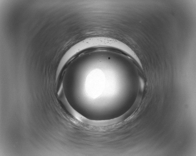 X0000061150045200511181246