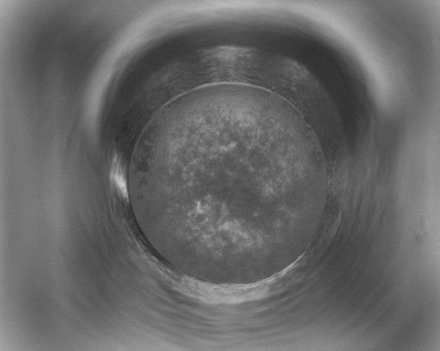 X0000061150047200511181246