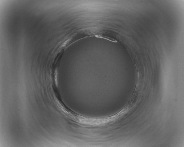 X0000061150048200511181246