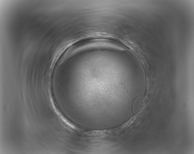 X0000061150049200511181245