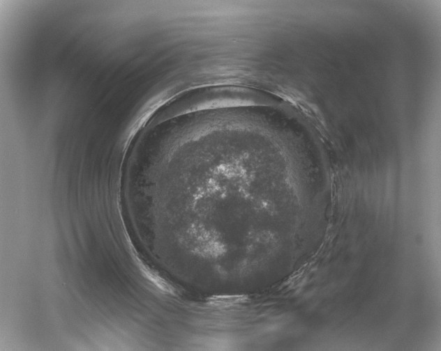 X0000061150051200511181245