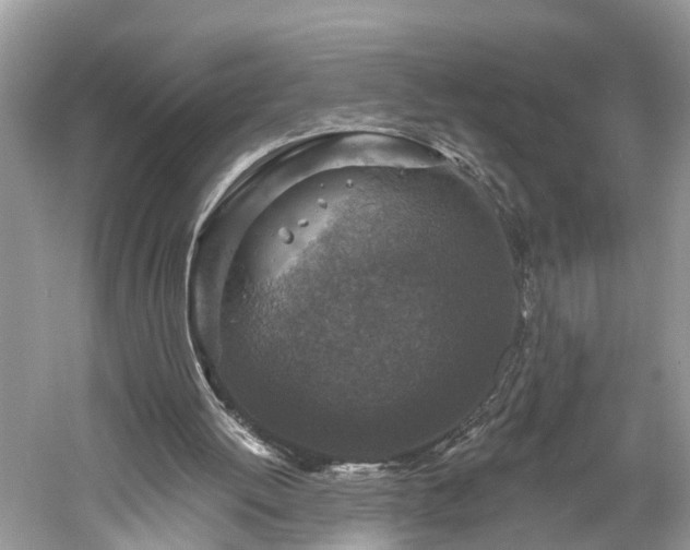 X0000061150052200511181245