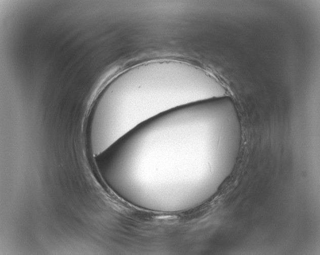 X0000061150053200511181245