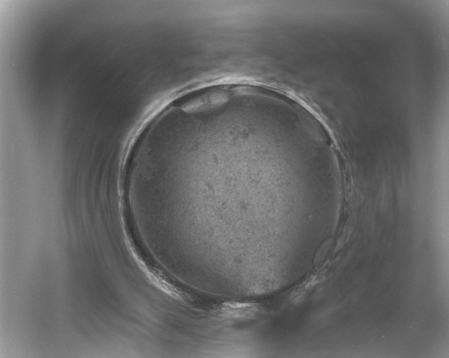 X0000061150055200511181245