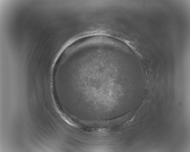 X0000061150056200511181245