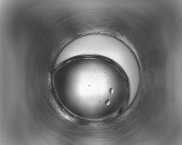 X0000061150057200511181245