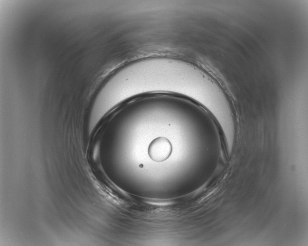 X0000061150058200511181245