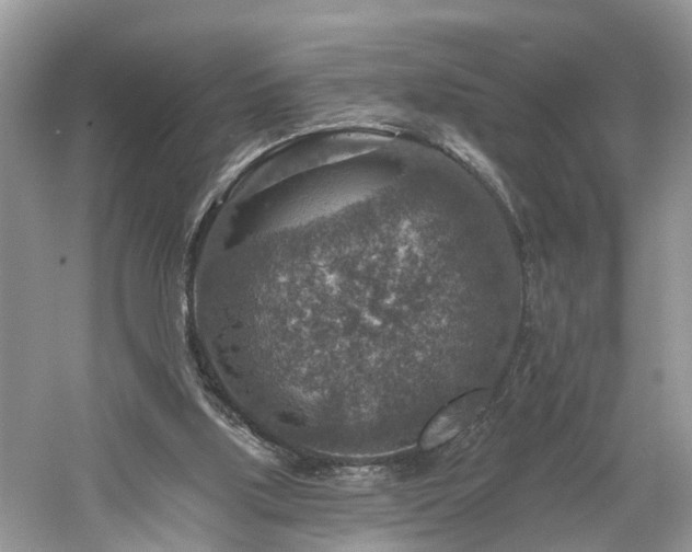 X0000061150059200511181245