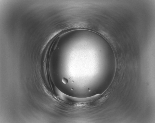 X0000061150060200511181245