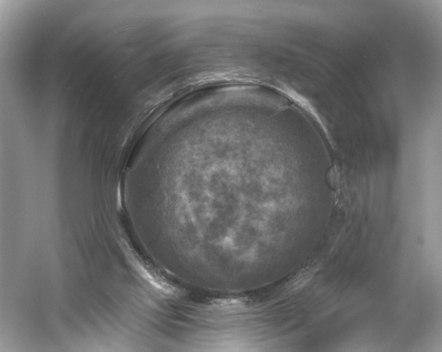 X0000061150061200511181245