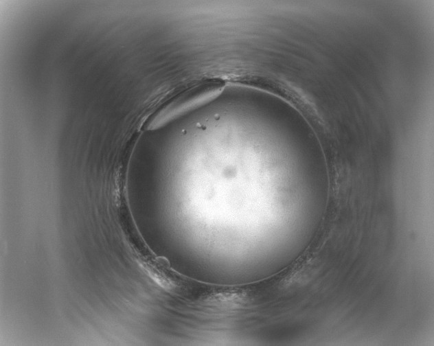 X0000061150065200511181245