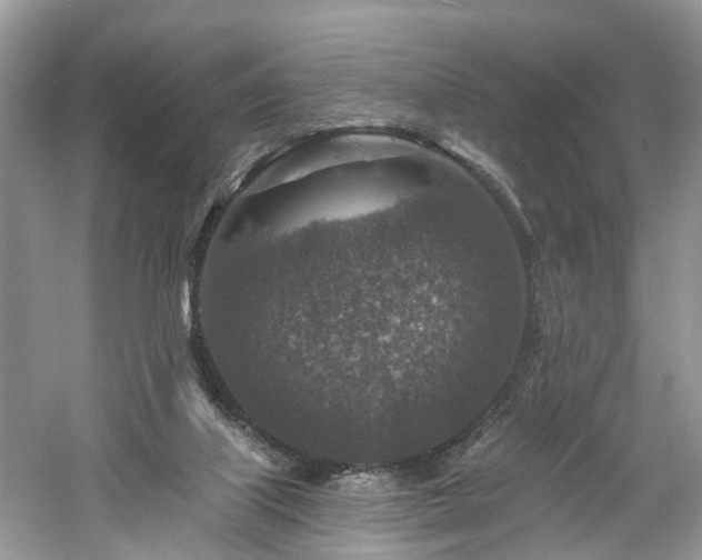 X0000061150067200511181245