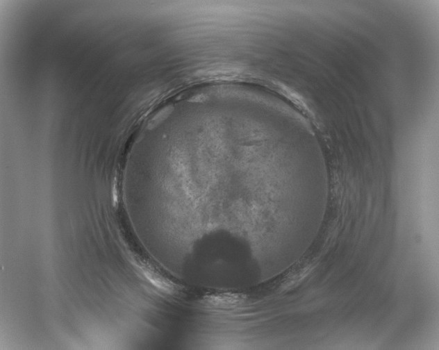 X0000061150069200511181245