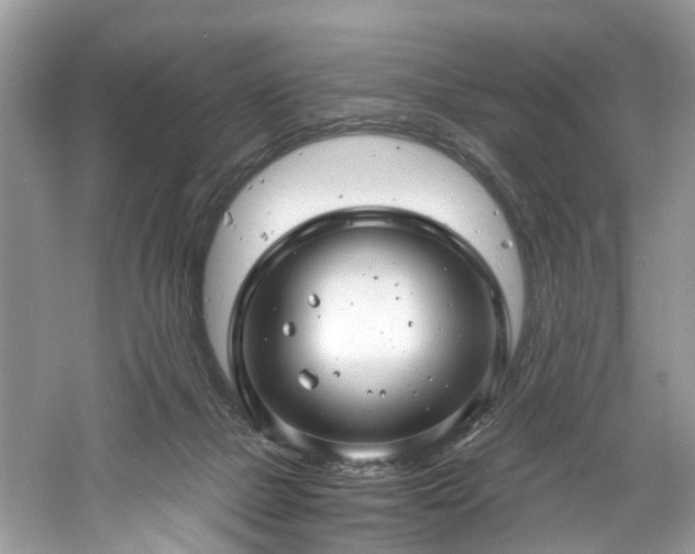 X0000061150073200511181245