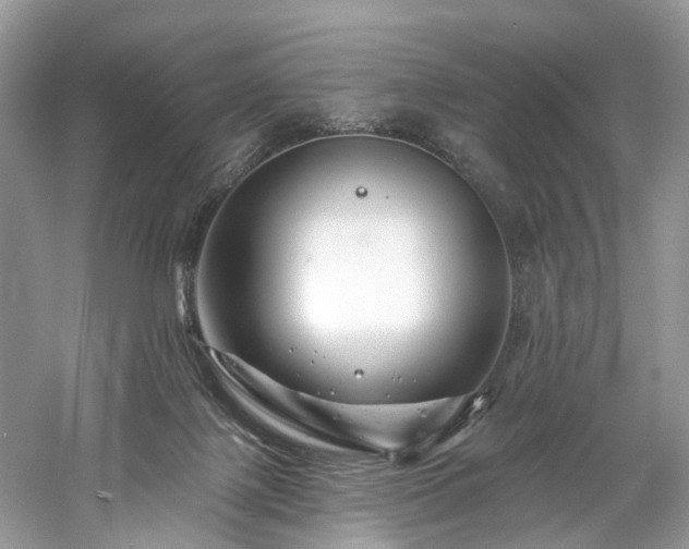 X0000061150075200511181245