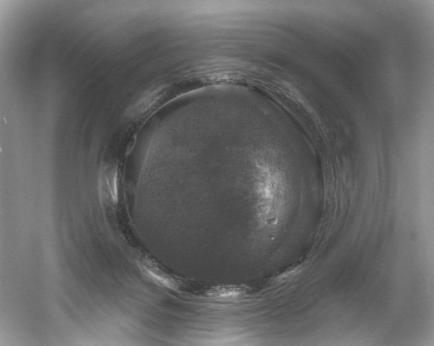 X0000061150076200511181245