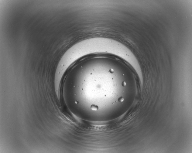 X0000061150077200511181245