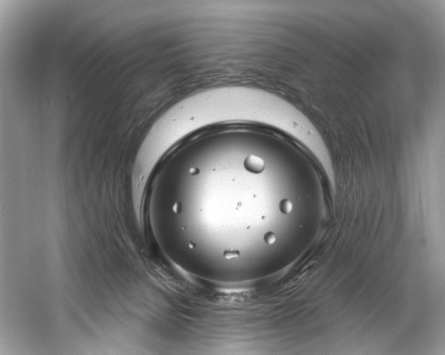 X0000061150080200511181245