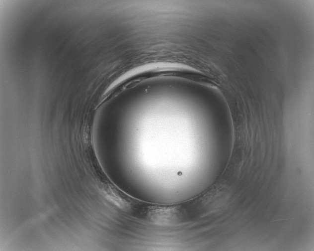 X0000061150081200511181245