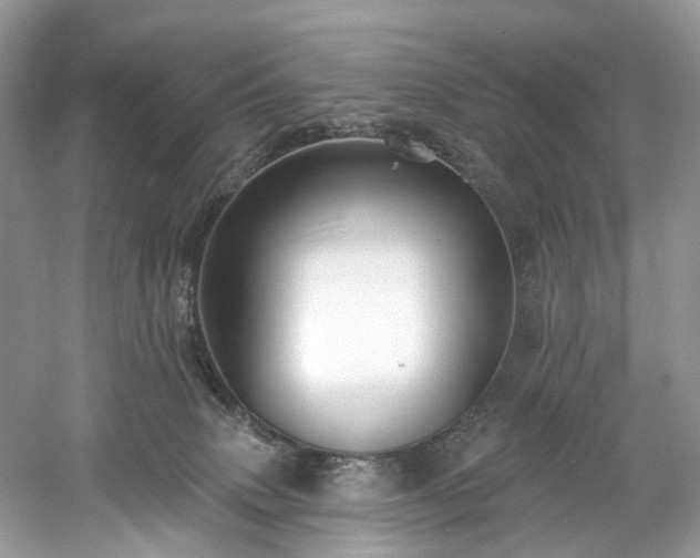 X0000061150083200511181245