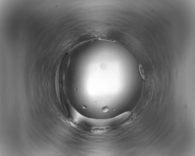 X0000061150084200511181245