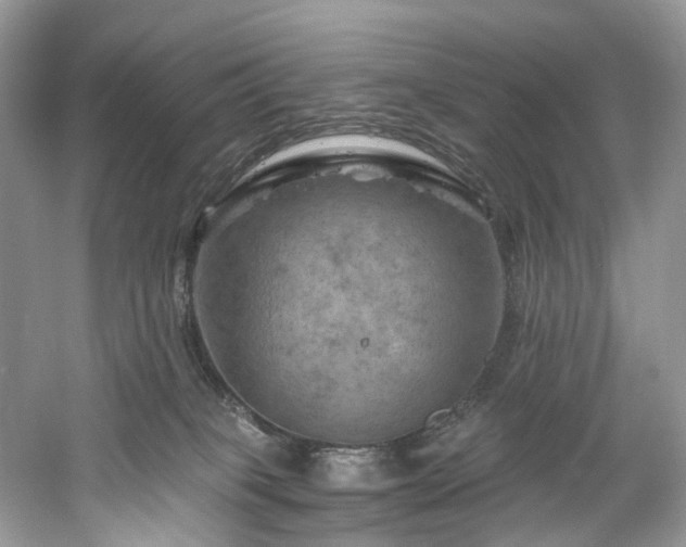 X0000061150085200511181245