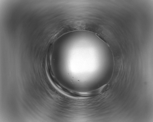 X0000061150088200511181245