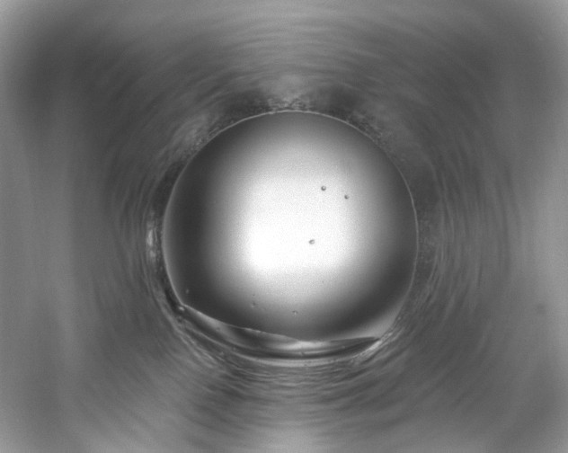 X0000061150090200511181245