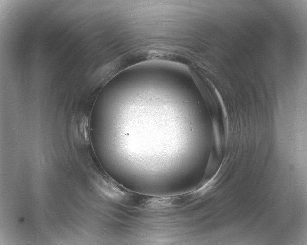 X0000061150094200511181246