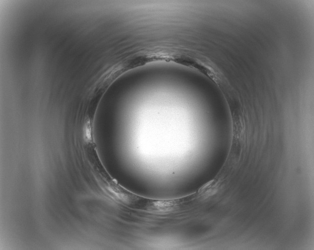 X0000061150095200511181246