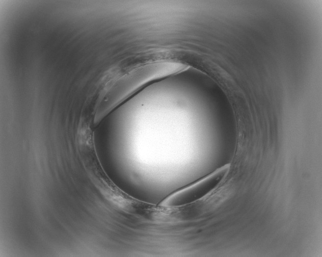 X0000061150096200511181246