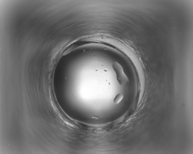 X0000061150097200511181245