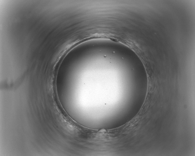 X0000061150098200511181245