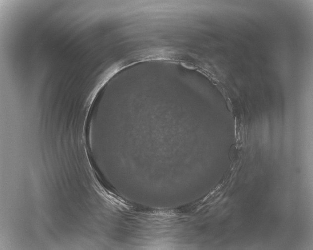 X0000061150099200511181245