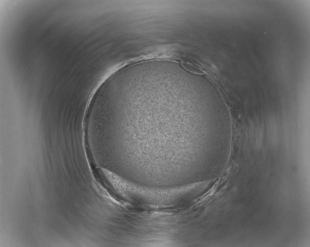 X0000061150100200511181245