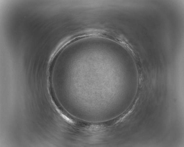 X0000061150101200511181245