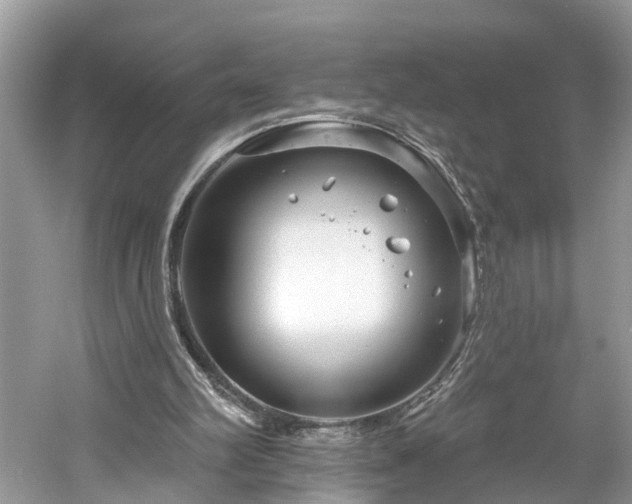 X0000061150102200511181245