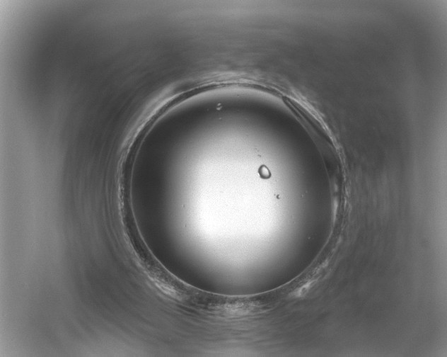 X0000061150103200511181245