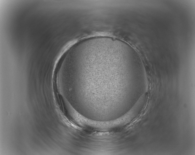 X0000061150104200511181245